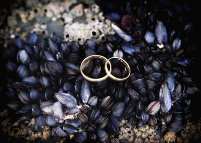Anillos de boda en Postboda