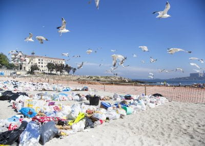 Gaviotas en Riazor