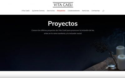 Vita Caeli web de la Asociación