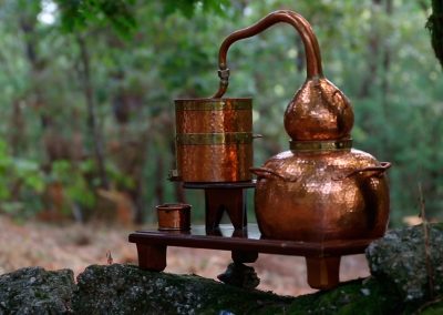 Alambique de cobre en el bosque