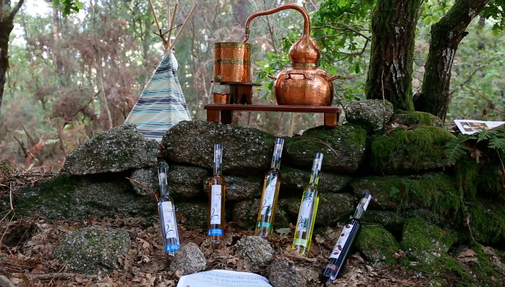 Cata los 5 Elementos. Consejo regulador licores y aguardientes de galicia
