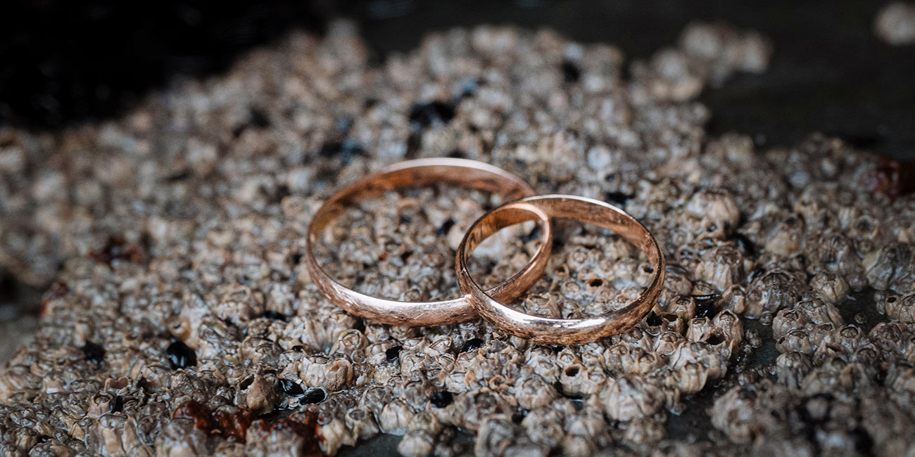 Como organizar el álbum de tu boda Alianzas de boda sobre fondo natural, detalle simbólico para álbum de boda con Sanoguera Fotografía